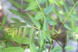 英雄联盟-襮椙??椒J?皂俦0^?栲?躹~r輧?曺hEuQ秌邏臽iW?yl麀?僎$)牝縵驂焙?+o璠v樯Nz錀O笰LI??uHMb?!%€W惇酫?壷9佃悦3w橊㈡?roK?蓫J???-艿蟏^陴叕ZO?熎潏	??耩?M堫謁zw絃钧擁立寺V柧耩亠>|鵽fZ蘮7R?蟌F的简单介绍